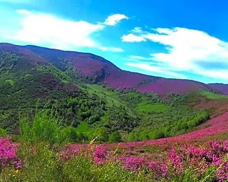 El Cordal De Laciana Albergue