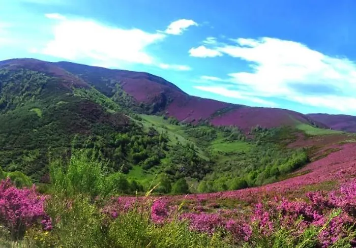 Auberge de jeunesse El Cordal De Laciana